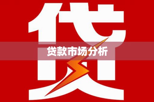 新青贷款市场分析