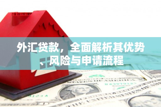 新青外汇贷款，全面解析其优势、风险与申请流程