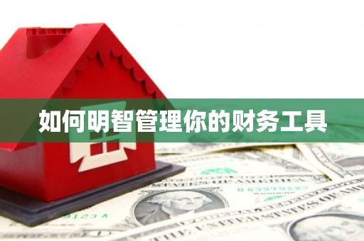 新青如何明智管理你的财务工具