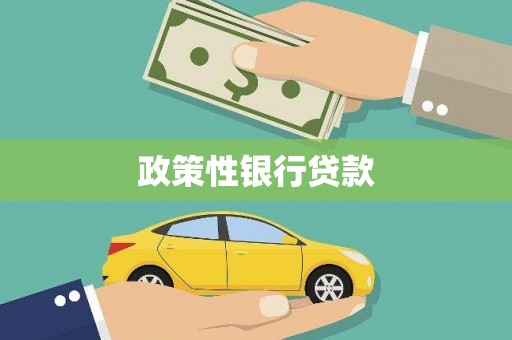 新青政策性银行贷款