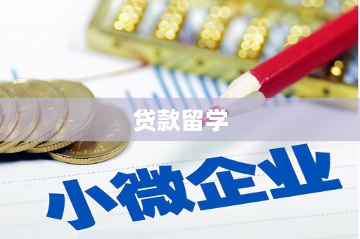新青贷款留学