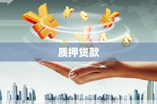 新青质押贷款