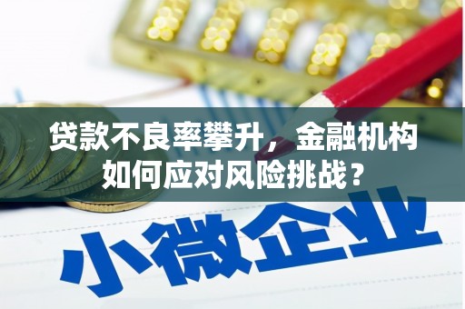 新青贷款不良率攀升，金融机构如何应对风险挑战？