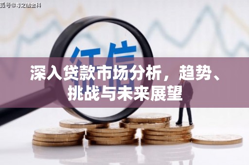 新青深入贷款市场分析，趋势、挑战与未来展望