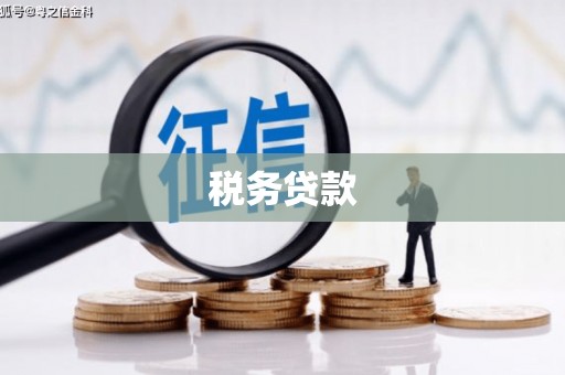 新青税务贷款