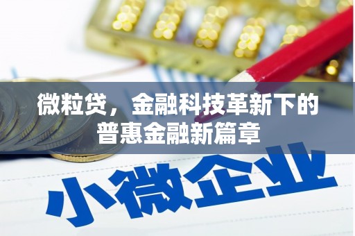 新青微粒贷，金融科技革新下的普惠金融新篇章