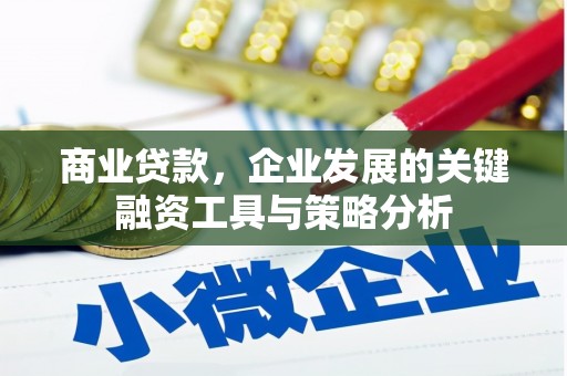 新青商业贷款，企业发展的关键融资工具与策略分析