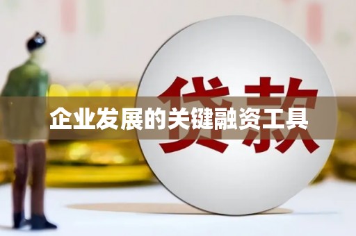 新青企业发展的关键融资工具