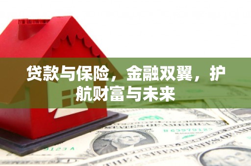 新青贷款与保险，金融双翼，护航财富与未来