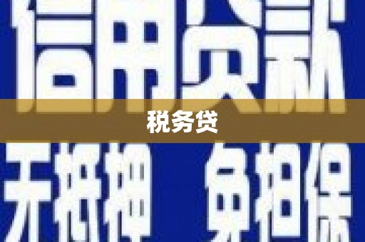 新青税务贷