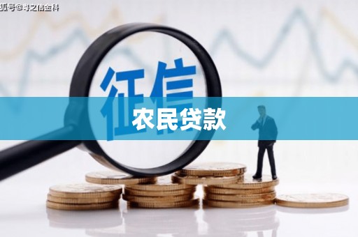 新青农民贷款