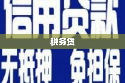 新青税务贷