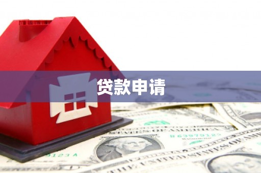 新青贷款申请