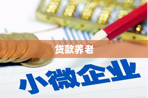 新青贷款养老