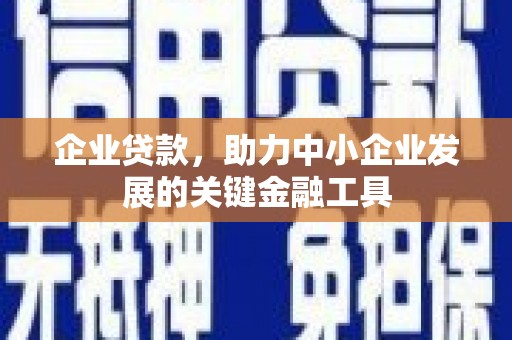 新青企业贷款，助力中小企业发展的关键金融工具
