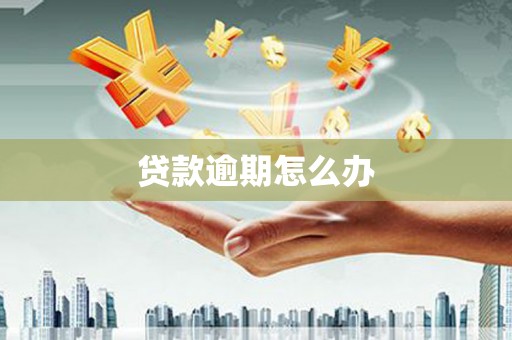 新青贷款逾期怎么办