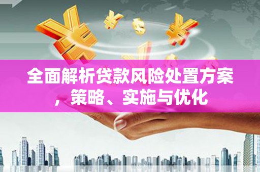 新青全面解析贷款风险处置方案，策略、实施与优化