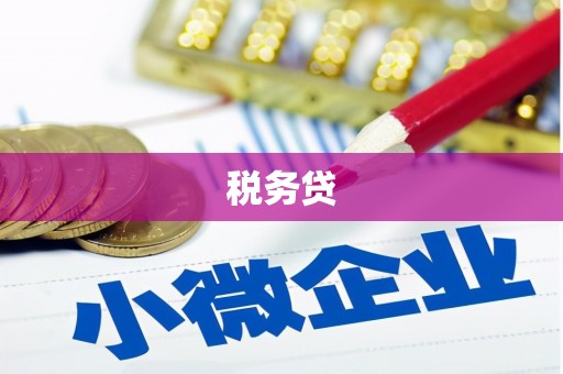 新青税务贷
