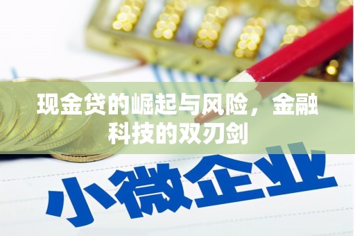 新青现金贷的崛起与风险，金融科技的双刃剑