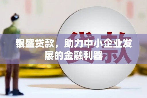 新青银盛贷款，助力中小企业发展的金融利器