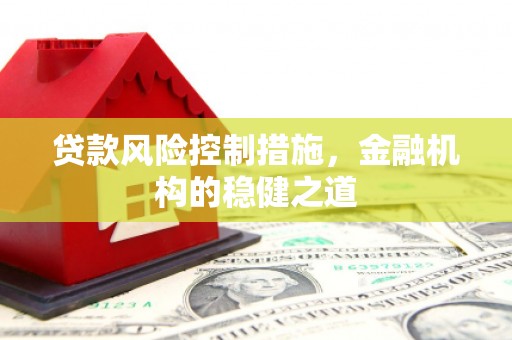 新青贷款风险控制措施，金融机构的稳健之道