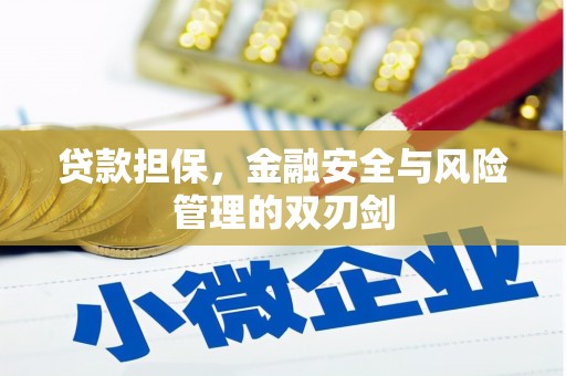 新青贷款担保，金融安全与风险管理的双刃剑