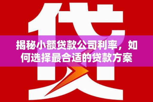 新青揭秘小额贷款公司利率，如何选择最合适的贷款方案