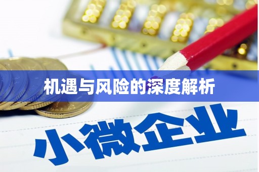 新青机遇与风险的深度解析