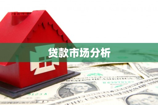 新青贷款市场分析
