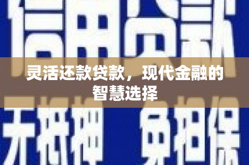 新青灵活还款贷款，现代金融的智慧选择