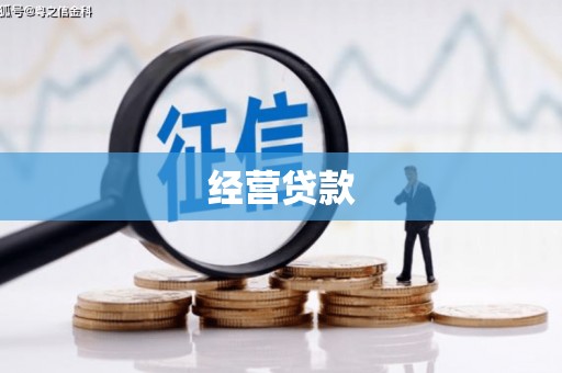 新青经营贷款