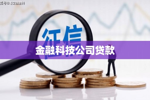 新青金融科技公司贷款