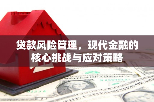 新青贷款风险管理，现代金融的核心挑战与应对策略