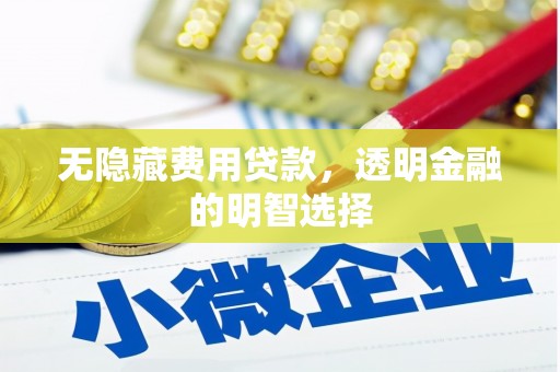 新青无隐藏费用贷款，透明金融的明智选择