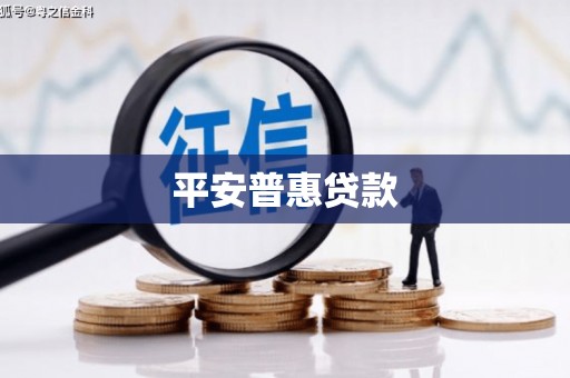 新青平安普惠贷款