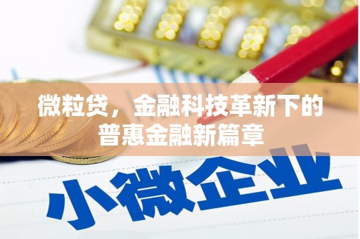 新青微粒贷，金融科技革新下的普惠金融新篇章