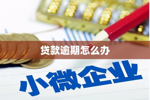 新青贷款逾期怎么办
