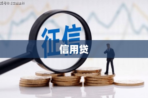 新青信用贷