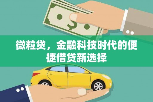 新青微粒贷，金融科技时代的便捷借贷新选择