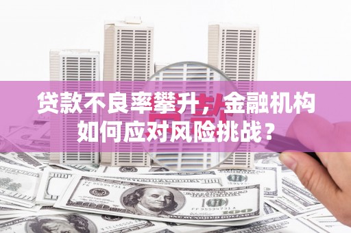 新青贷款不良率攀升，金融机构如何应对风险挑战？