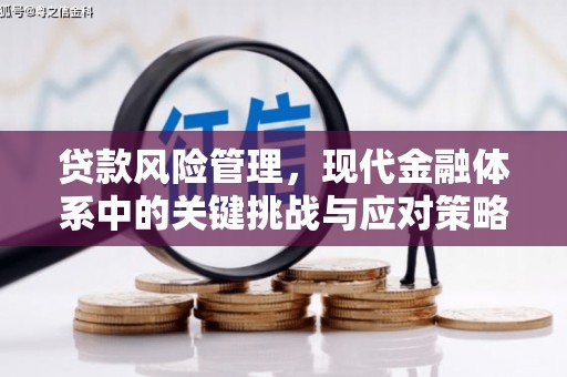 新青贷款风险管理，现代金融体系中的关键挑战与应对策略