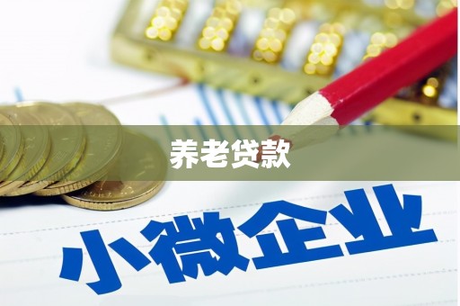 新青养老贷款