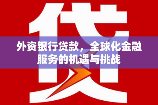 新青外资银行贷款，全球化金融服务的机遇与挑战