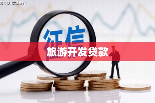 新青旅游开发贷款