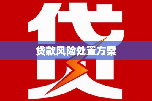 新青贷款风险处置方案