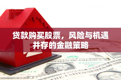 新青贷款购买股票，风险与机遇并存的金融策略