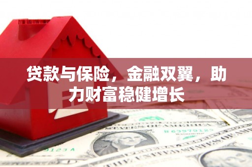 新青贷款与保险，金融双翼，助力财富稳健增长