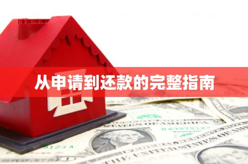 新青从申请到还款的完整指南