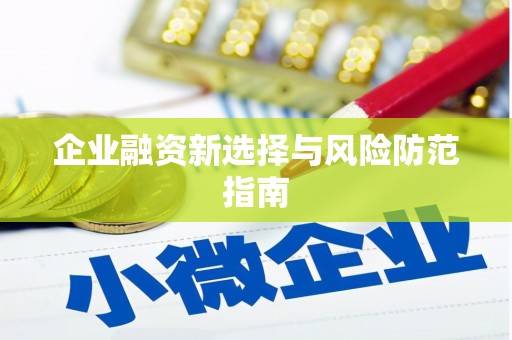 新青企业融资新选择与风险防范指南