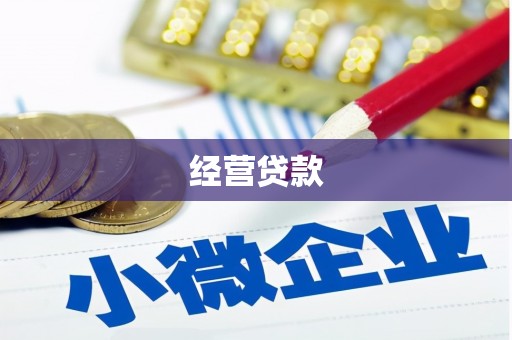 新青经营贷款